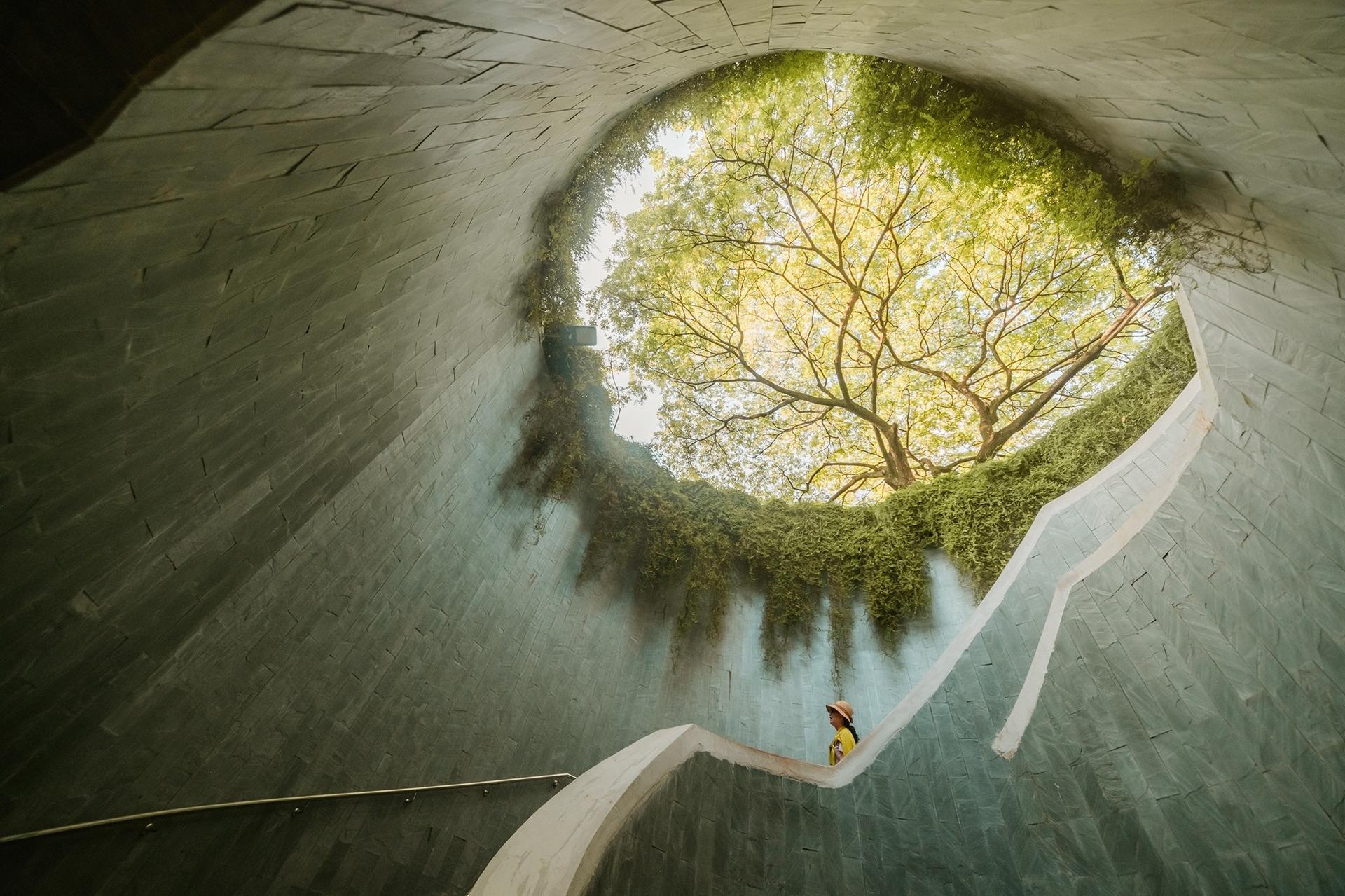''Ho trovato questo posto e sono rimasto colpito dalla densità del fogliame: i rampicanti avevano completamente avvolto i muri di sostegno, ma la vista dell'albero giallo in cima era semplicemente stupefacente e assolutamente ipnotica'', racconta il fotografo Scott Antcliffe.